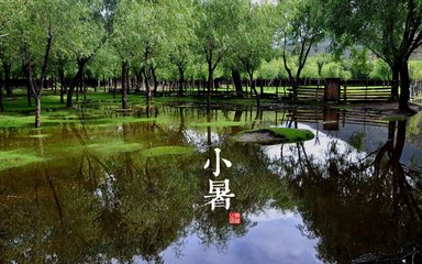 2017年7月7日 小暑(六月十四 星期五)(资源网络) - 东方.旭(青岛) - 东方.旭在青岛的博客 2017年7月7日 小暑(六月十四 星期五)(资源网络) - 东方.旭(青岛) - 东方.旭在青岛的博客