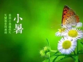 2017年7月7日 小暑(六月十四 星期五)(资源网络) - 东方.旭(青岛) - 东方.旭在青岛的博客 2017年7月7日 小暑(六月十四 星期五)(资源网络) - 东方.旭(青岛) - 东方.旭在青岛的博客