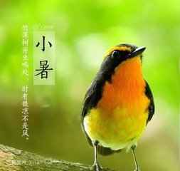 2017年7月7日 小暑(六月十四 星期五)(资源网络) - 东方.旭(青岛) - 东方.旭在青岛的博客 2017年7月7日 小暑(六月十四 星期五)(资源网络) - 东方.旭(青岛) - 东方.旭在青岛的博客