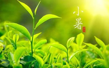 2017年7月7日 小暑(六月十四 星期五)(资源网络) - 东方.旭(青岛) - 东方.旭在青岛的博客 2017年7月7日 小暑(六月十四 星期五)(资源网络) - 东方.旭(青岛) - 东方.旭在青岛的博客