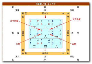2017八运九宫飞星图_2017八运九宫飞星图图片大全