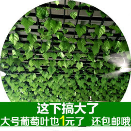 条屋顶装饰花假树叶仿真葡萄叶吊顶房顶绿叶塑-38kb图片