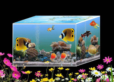 d梦幻水族馆养金鱼动态壁纸_梦幻水族馆动态壁纸图_3d梦幻水族馆动态壁纸