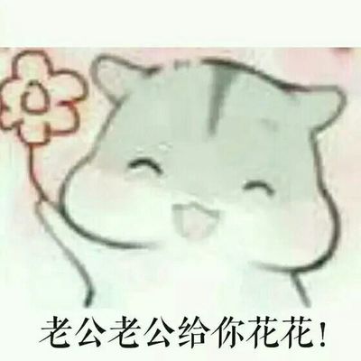 表情不见了的老公:我老公丢了,我找我老公,我老公没戴着花家的表情包撕图片