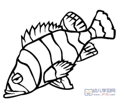 鱼素描简笔画_鱼素描简笔画图片大全
